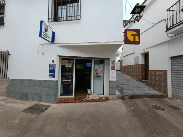 Imagen del punto de venta de Lotería