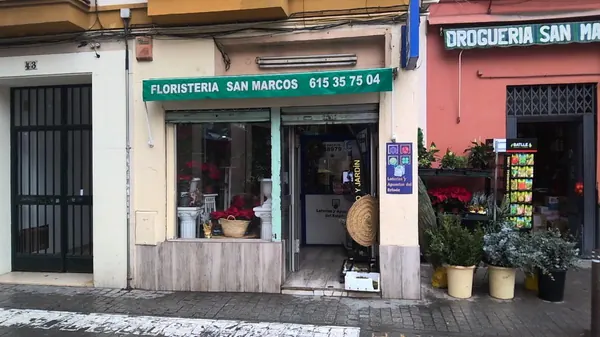 Imagen del punto de venta de Lotería